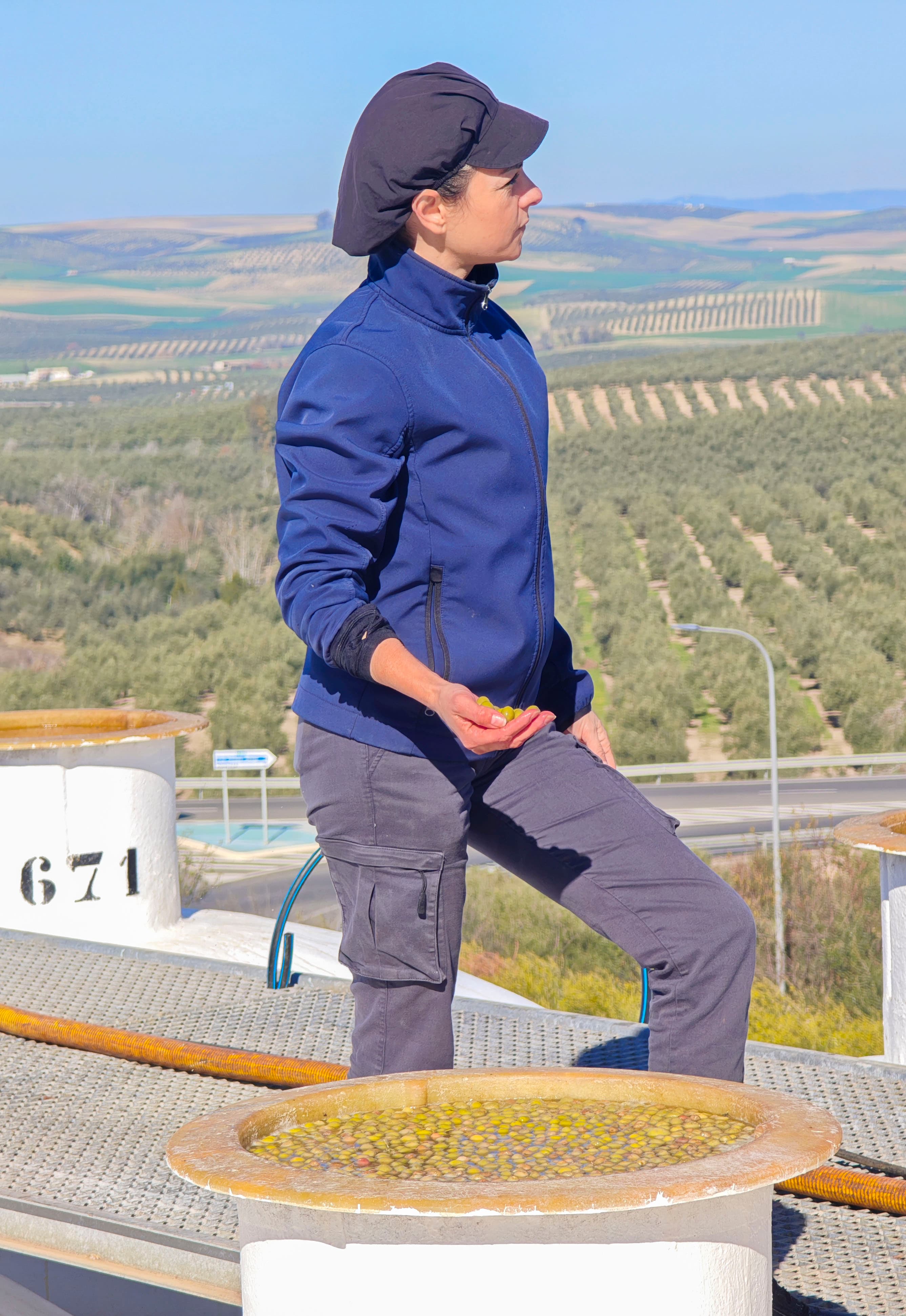 Detalle de olivos del olivar ecológico